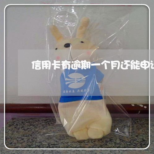 信用卡有逾期一个月还能申请吗 信用卡有逾期一个月还能申请吗