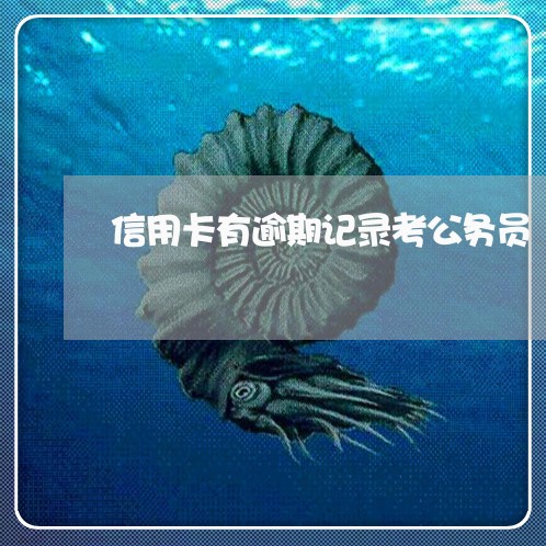 信用卡有逾期记录考公务员 信用卡有逾期记录考公务员