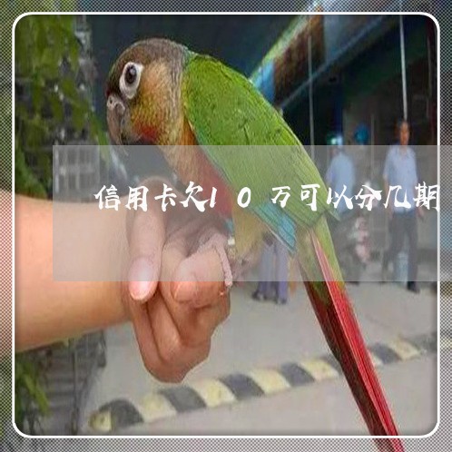 信用卡欠10万可以分几期 信用卡欠10万可以分几期