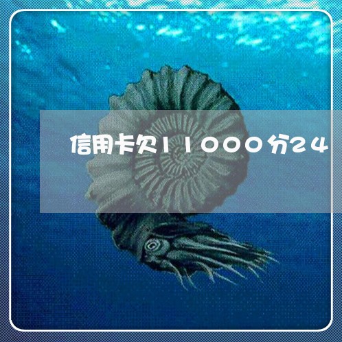 信用卡欠11000分24