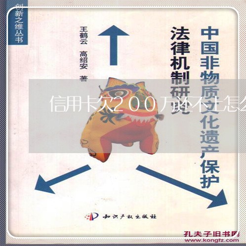 信用卡欠200万还不上怎么办/2023092895147