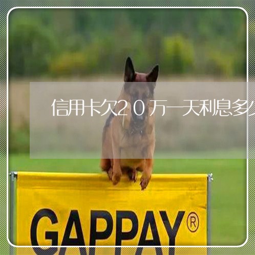 信用卡欠20万一天利息多少