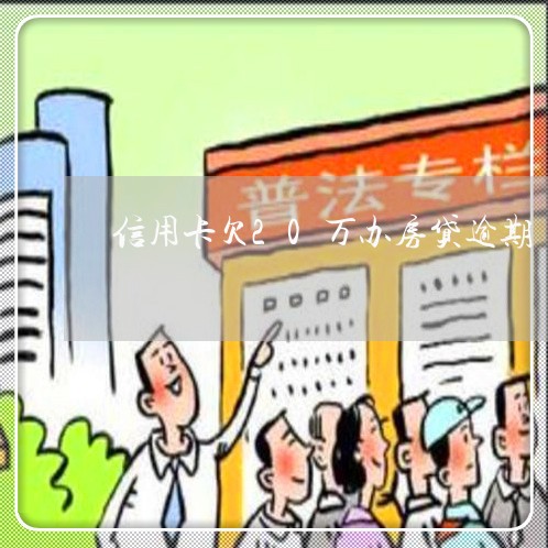 信用卡欠20万办房贷逾期/2023061149581