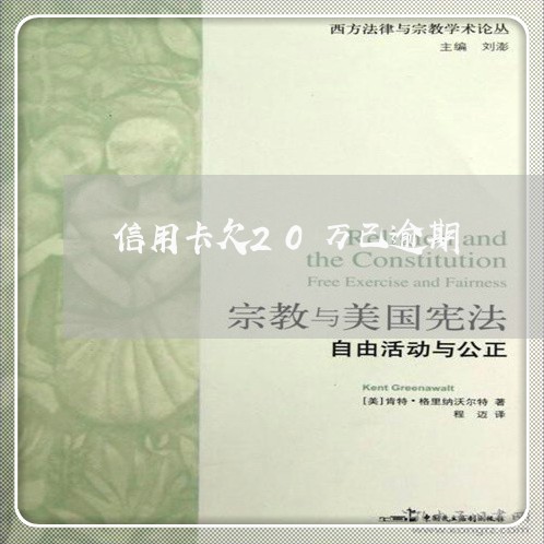 信用卡欠20万已逾期 信用卡欠20万已逾期