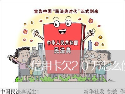 信用卡欠20万怎么偿还 信用卡欠20万怎么偿还