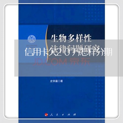 信用卡欠20万怎样分期