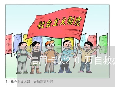 信用卡欠20万自救办法 信用卡欠20万自救办法