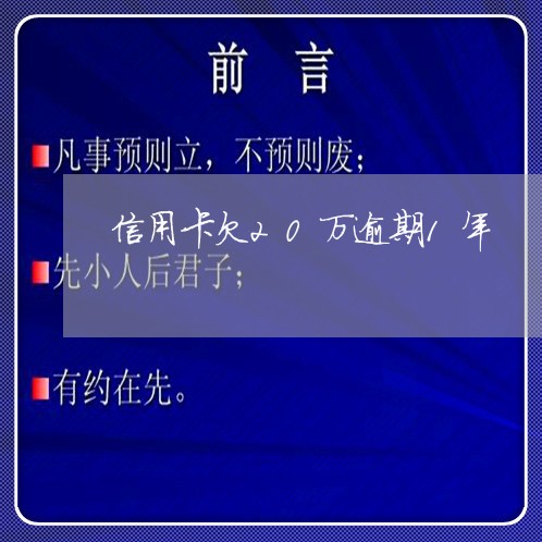 信用卡欠20万逾期1年/2023011737350