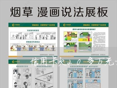 信用卡欠20多万无力偿还
