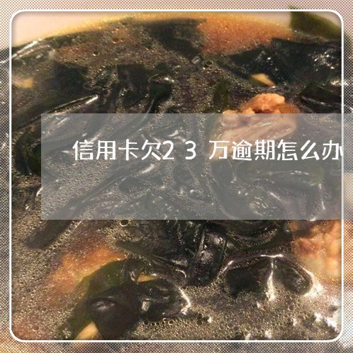 信用卡欠23万逾期怎么办/2023060575615