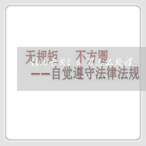 信用卡欠26万怎么处理 信用卡欠26万怎么处理