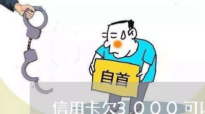 信用卡欠3000可以停息挂账吗