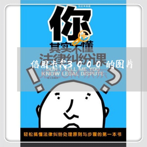 信用卡欠3000的图片 信用卡欠3000的图片