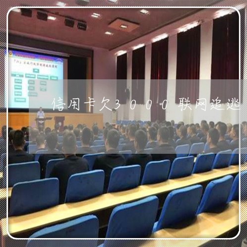 信用卡欠3000联网追逃 信用卡欠3000联网追逃