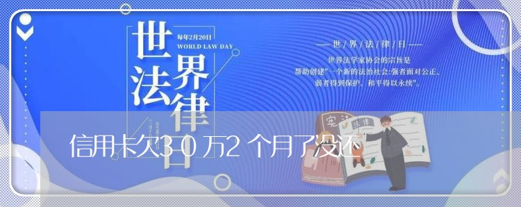 信用卡欠30万2个月了没还/2023012157250