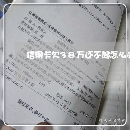 信用卡欠38万还不起怎么办