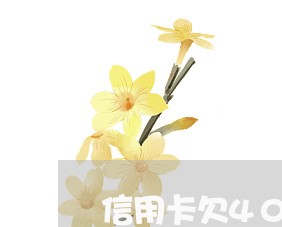 信用卡欠40元逾期8期 信用卡欠40元逾期8期