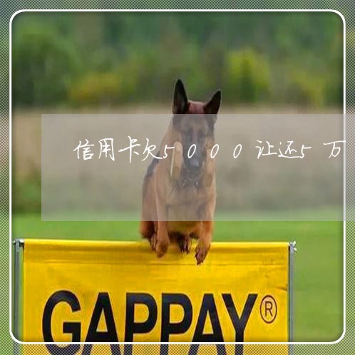 信用卡欠5000让还5万 信用卡欠5000让还5万