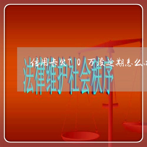 信用卡欠70万没逾期怎么办