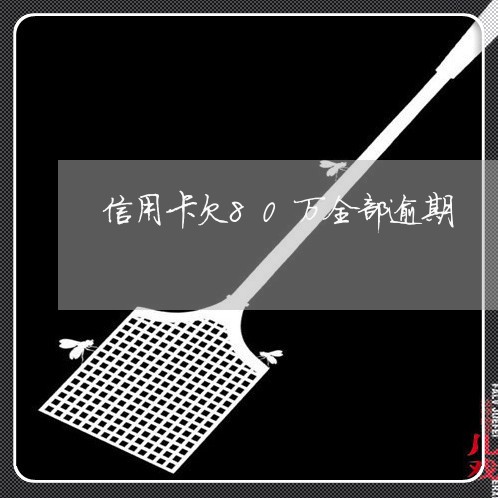 信用卡欠80万全部逾期 信用卡欠80万全部逾期