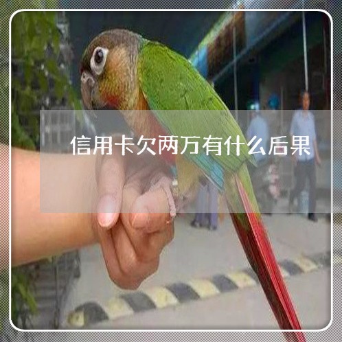 信用卡欠两万有什么后果