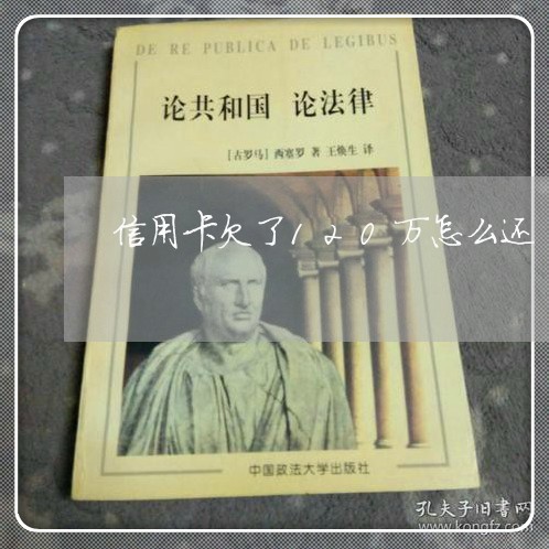 信用卡欠了120万怎么还 信用卡欠了120万怎么还