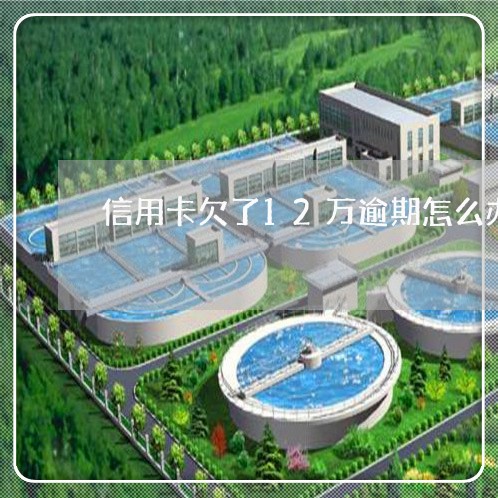 信用卡欠了12万逾期怎么办 信用卡欠了12万逾期怎么办