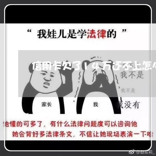 信用卡欠了14万还不上怎么办 信用卡欠了14万还不上怎么办