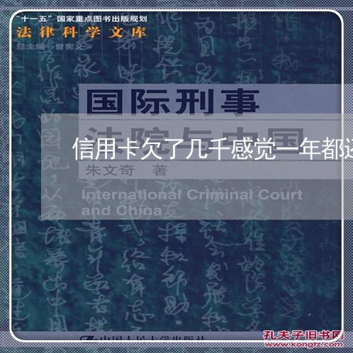 信用卡欠了几千感觉一年都还不完