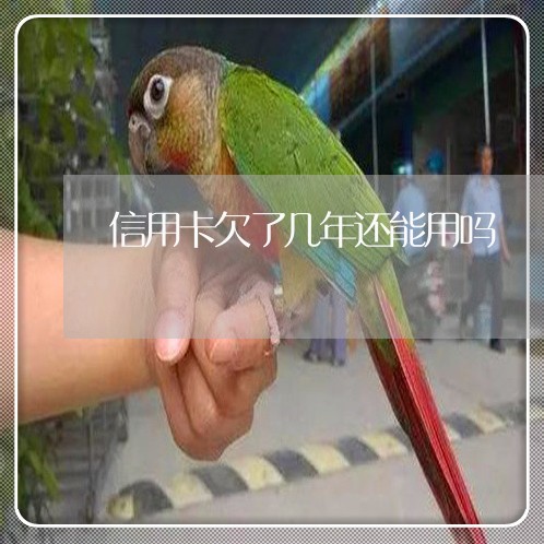 信用卡欠了几年还能用吗