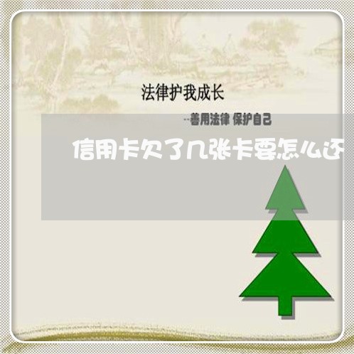 信用卡欠了几张卡要怎么还 信用卡欠了几张卡要怎么还