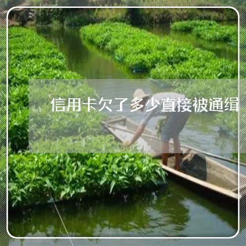 信用卡欠了多少直接被通缉 信用卡欠了多少直接被通缉