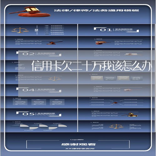 信用卡欠二十万我该怎么办 信用卡欠二十万我该怎么办