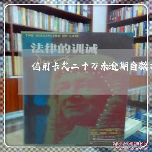信用卡欠二十万未逾期自救方法