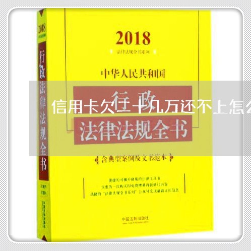 信用卡欠二十几万还不上怎么办呢/2023030147259