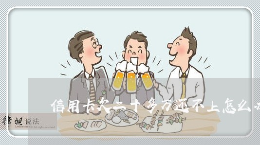 信用卡欠二十多万还不上怎么办