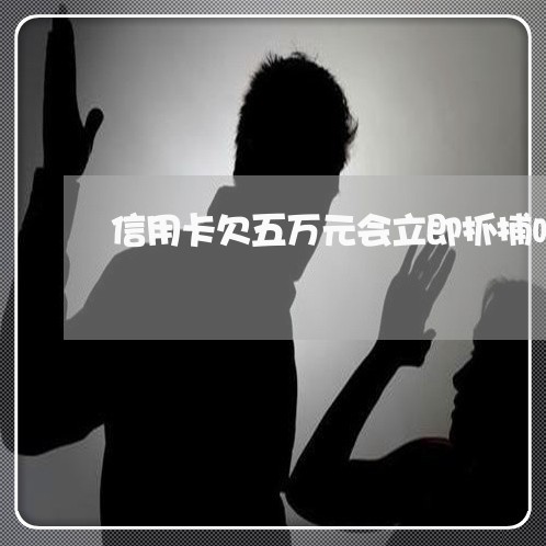 信用卡欠五万元会立即抓捕吗