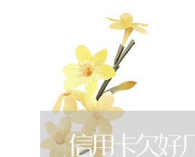 信用卡欠好几万还不了怎么办 信用卡欠好几万还不了怎么办
