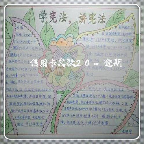 信用卡欠款20w逾期/2023061639160 信用卡欠款20w逾期/2023061639160