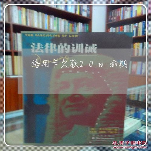 信用卡欠款20w逾期/2023061649369 信用卡欠款20w逾期/2023061649369