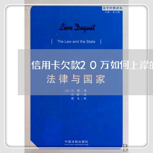 信用卡欠款20万如何上岸的/2023021775825