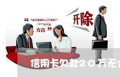 信用卡欠款20万无力偿还怎么办/2023100851695