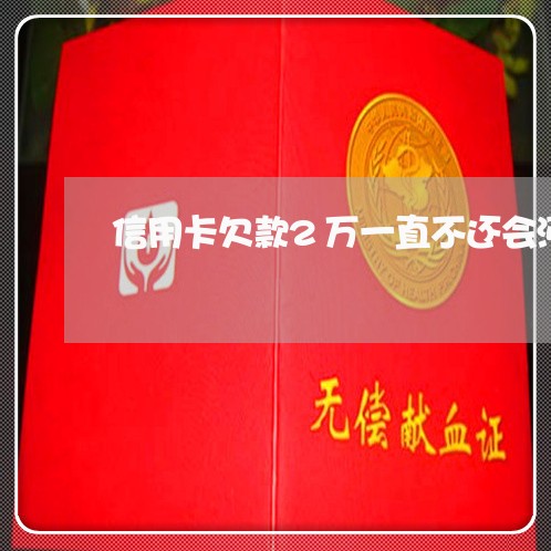 信用卡欠款2万一直不还会涨多少利息 信用卡欠款2万一直不还会涨多少利息