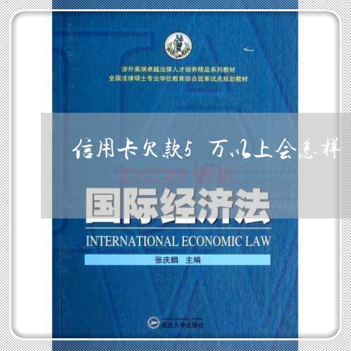 信用卡欠款5万以上会怎样/2023021150770