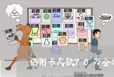 信用卡欠款70万全面逾期/2023061114826 信用卡欠款70万全面逾期/2023061114826