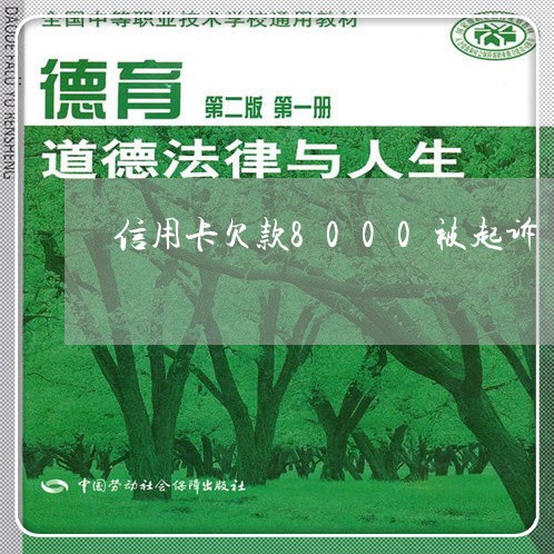 信用卡欠款8000被起诉/2023110905970