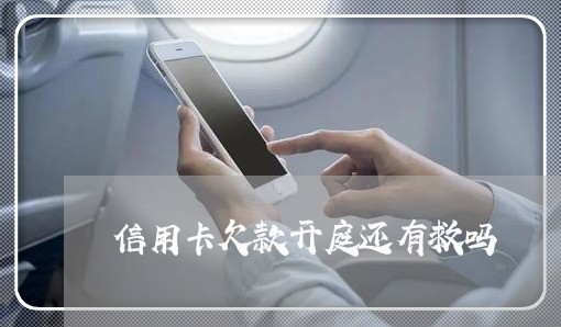 信用卡欠款开庭还有救吗/2023022826392 信用卡欠款开庭还有救吗/2023022826392