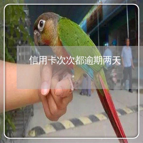 信用卡次次都逾期两天 信用卡次次都逾期两天