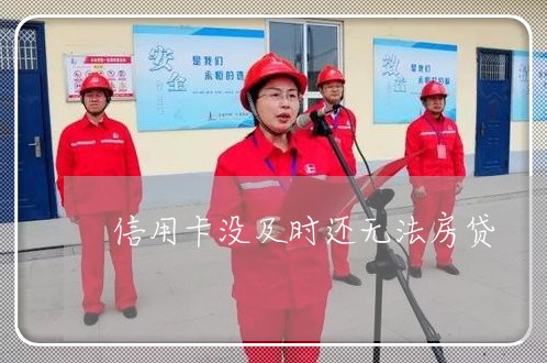 信用卡没及时还无法房贷/2023041965049