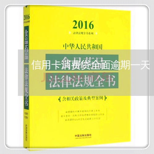 信用卡消费贷全面逾期一天/2023011764047